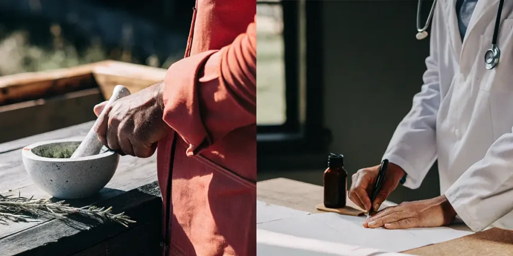 Hyper-realistic illustration showing hands grinding herbs in a mortar (left), and a doctor in a lab coat writing on a clipboard with a stethoscope (right).