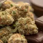 Dense Chocolate Fondue Weed Strain buds covered in frosty trichomes, displayed alongside dark chocolate pieces, emphasizing its rich aroma