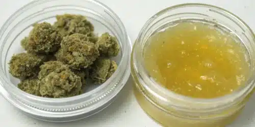 THCV vs THC: A Closer Look