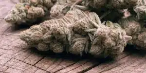 Premium Cannabis Bud Covered in Trichomes