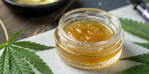 Why Is Jelly Hash CBD Gaining Popularity Among Concentrate Lovers?