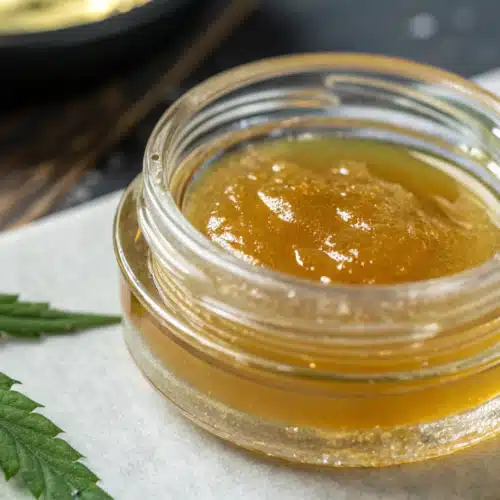 Golden CBD concentrate in a glass jar surrounded by green cannabis leaves on a white surface.