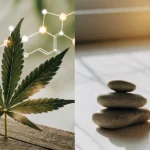 Hyper-realistic split-screen image: cannabis leaf with glowing molecular structure (left), and a balanced stack of stones beside a CBD oil dropper bottle (right).
