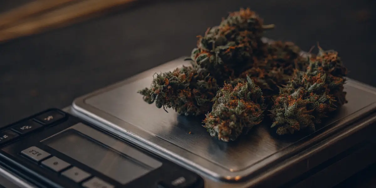 Hyper-realistic close-up of cannabis buds on a dark digital precision scale, with dark background.