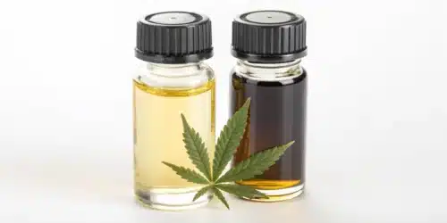 Cannabis Extract vs Concentrate: Differences and Benefits