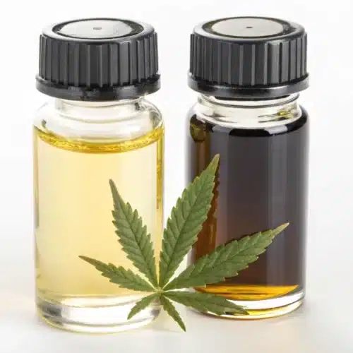 Cannabis Extract vs Concentrate: Differences and Benefits