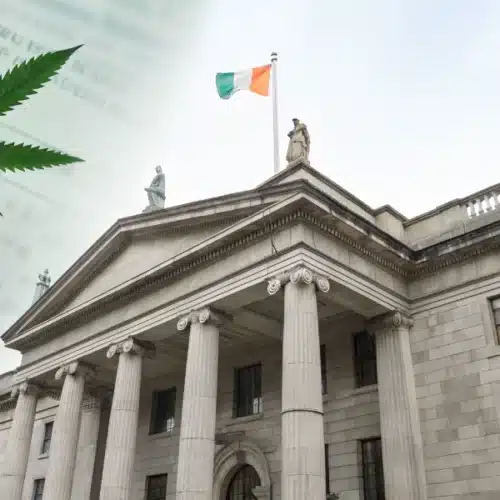 Ireland Weed Laws: Regulations, Reforms & Insights