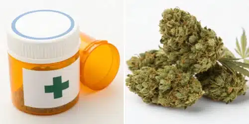 What Is the Difference Between Medical and Recreational Weed?