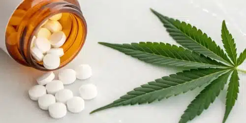 Metformin and Marijuana: Interactions and Effects