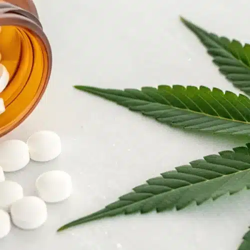 Metformin and Marijuana: Interactions and Effects