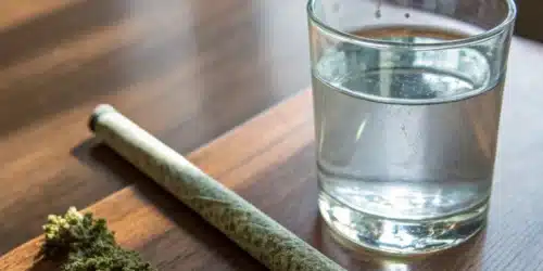 Why Does Pot Cause Dry Mouth: Causes and Solutions