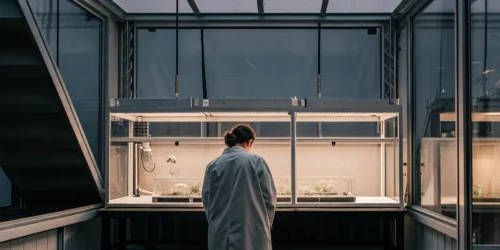 What Enzymes Metabolize Cannabis?