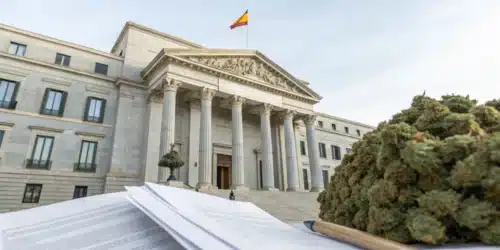 Spain Cannabis Laws: Regulations & Market Trends