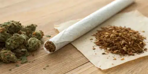 What Is a Spliff Joint: Explained Simply