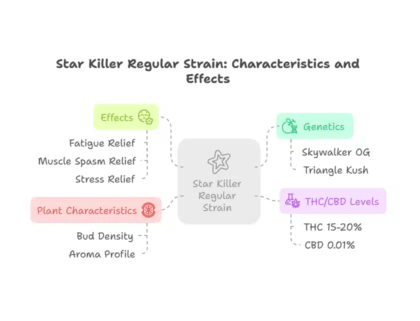Chart showing Star Killer Regular Strain features, including genetics, THC levels, plant traits, and stress relief effects.