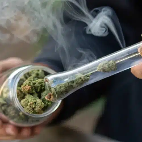 What is Steamrolling: Explained in Cannabis Culture