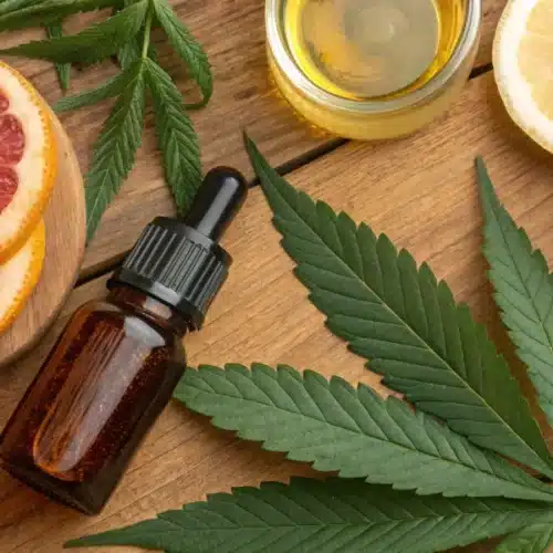 Valencene Terpene: Aroma, Benefits & Uses