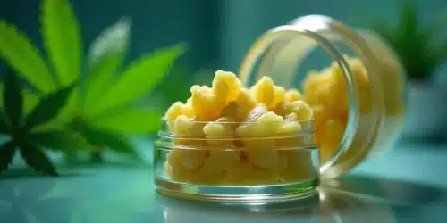 Everything You Need to Know About Live Budder