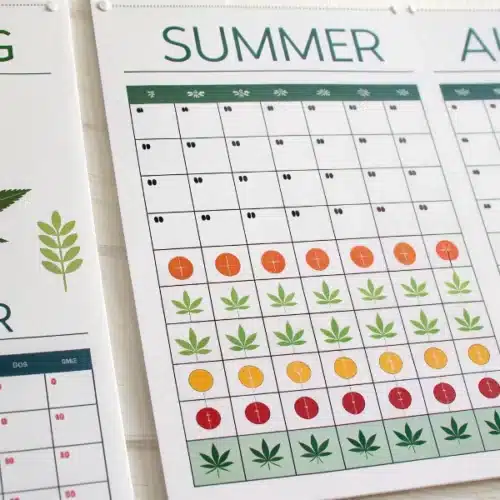 When to Grow Weed Indoors: Seasonal Tips and Protecting Plants