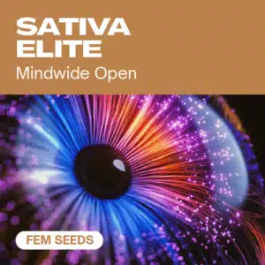 GE-sativa-elite-fem cannabis seed pack evoking expanded perception through a vibrant, psychedelic eye image.