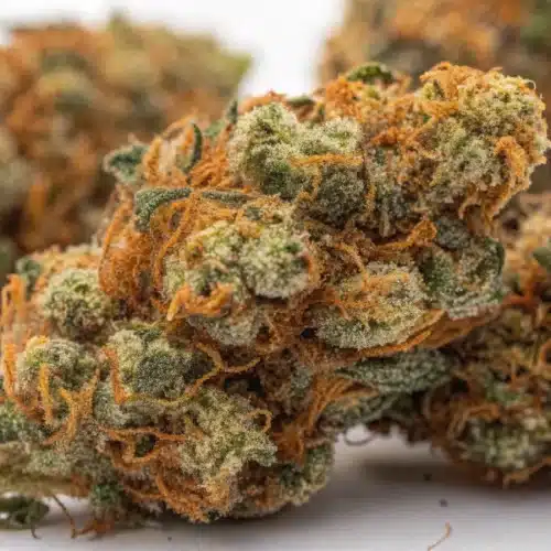 How to Grow Alien Technology FV
