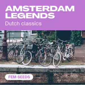 Amsterdam Legends cannabis seed pack featuring Dutch classic strains with a backdrop of bicycles near an Amsterdam canal.