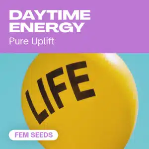 Daytime Energy cannabis seed pack designed for uplifting daytime effects, illustrated with a bright yellow balloon reading LIFE.