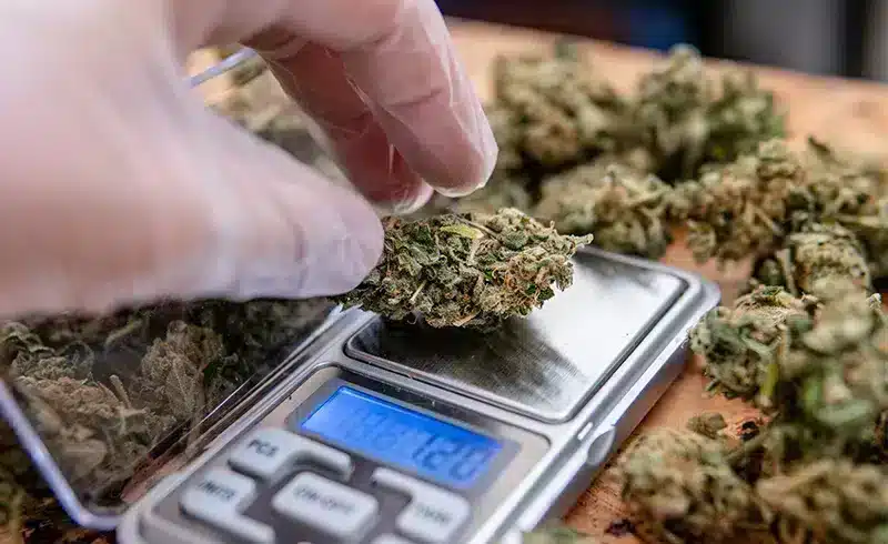 Document Your Grow. Earn