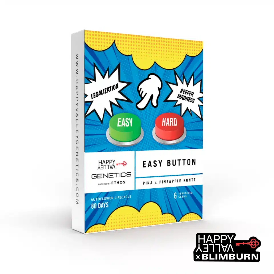 Easy Button cannabis strain by Blim Burn Seeds
