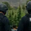 Two ICE police officers in tactical gear during an outdoor operation near a field of cannabis plants.