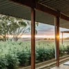 Wide-angle view of an outdoor cannabis farm field at sunset, seen from a covered porch.