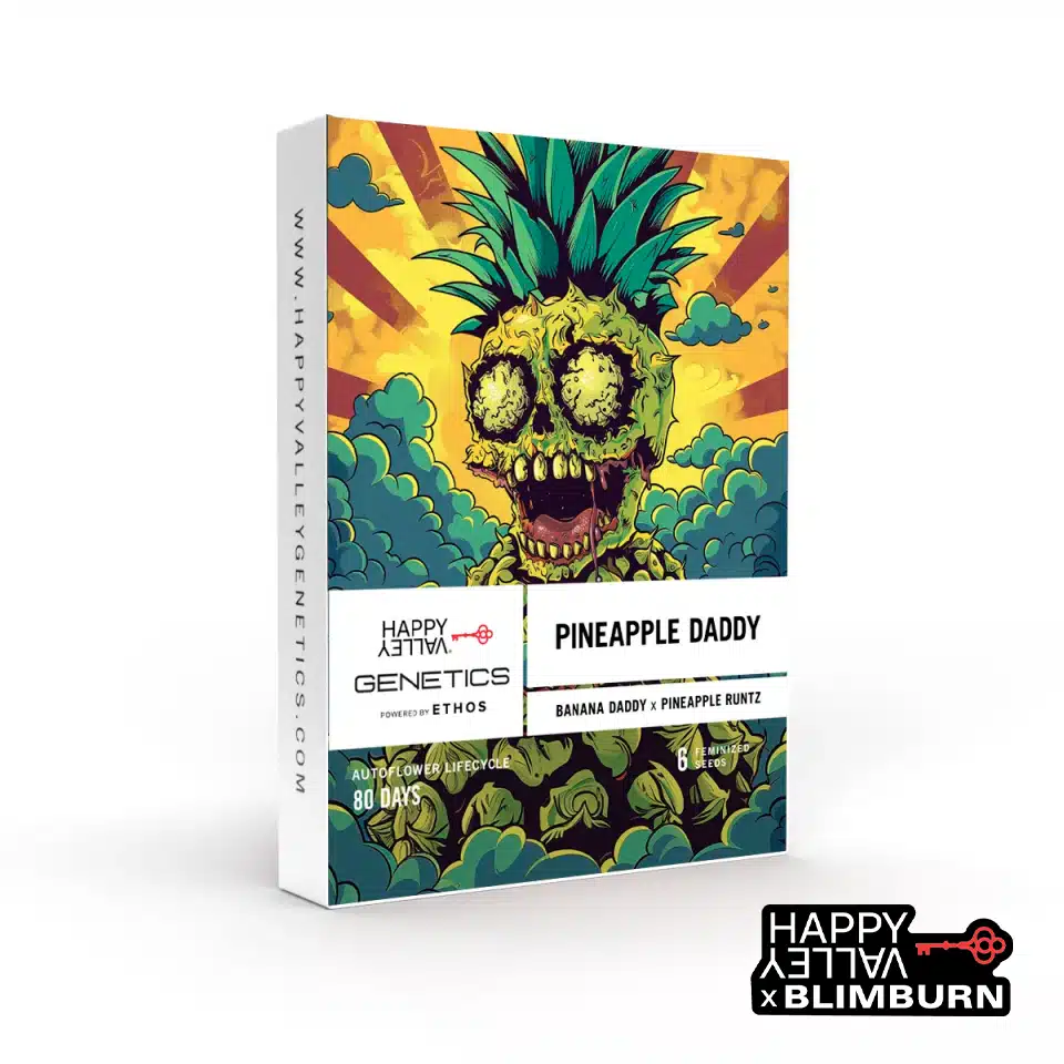 Pineapple Daddy by Blim Burn Seeds