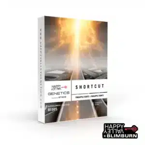 Shortcut seed box with glowing light beam over highway in sci-fi atmosphere.