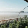 wide-angle shot of a cannabis greenhouse at dawn with morning mist over the fields