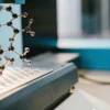 Detailed cannabis molecular structure model displayed in laboratory equipment.