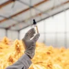 Scientist holding dropper above cannabis crop inside greenhouse with orange light