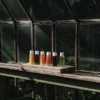 Bottles of colored nutrient solutions lined up on a greenhouse windowsill