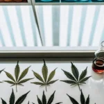 Overhead view: laboratory table with cannabis leaves and colored liquids in scientific vials.