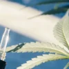 Macro photograph of a cannabis leaf with a dropper dispensing liquid onto the stem, with a blue background.