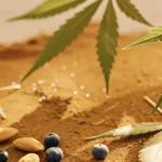 Close-up of vibrant green cannabis leaves on a sandy surface with almonds and blueberries, under a warm glow.