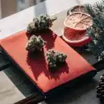 Hyper-realistic close-up of cannabis buds, dried lemons, and a pinecone.