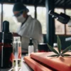 A cannabis leaf and oil bottles on a lab table, a scientist working in the background.