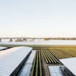 Vue aérienne d’une ferme de cannabis biologique au lever du soleil, avec des serres blanches et des rangées de cultures organisées.