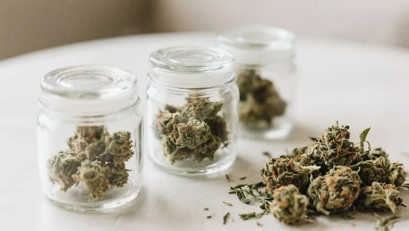 M8 strain buds stored in glass jars after curing, preserving their aroma, potency, and quality through proper post-harvest handling.