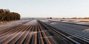 Aerial view of a cannabis farm with irrigation systems at sunrise.