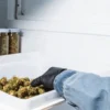 cannabis curing process in controlled environment
