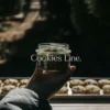 Hand holding a jar labeled Cookies Line with cannabis seeds outdoors.