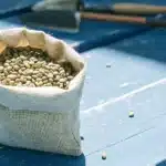 Burlap bag filled with hemp seeds on a blue wooden table in sunlight.