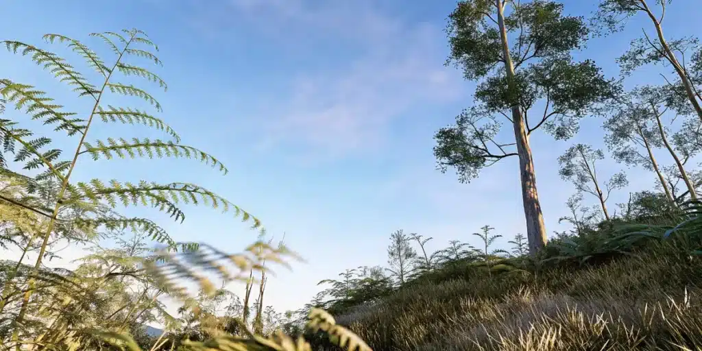 Dense forest with tall trees and ferns during golden hour light.