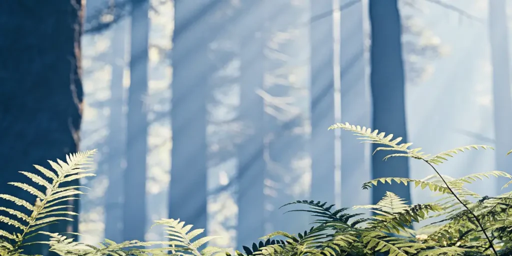 Ferns illuminated by sun rays in a dense rainforest with tall trees.
